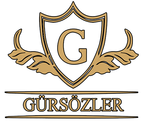 As Gürsözler Automotive (StyleBus) we convert many models of busses from different brands such as Mercedes Sprinter, Mercedes Vito and Iveco Daily into eye-catching, precise and fully equipped transport busses by meticulously applying them first-class VIP bus design.